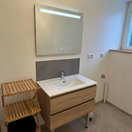 شقة Naturel Loft 5 Personnes Et Jardin سانت موريس سور موسيل